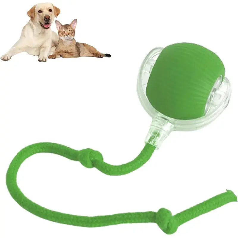 360 Smart Automatic Rolling Pet Ball EssentialsEveryday