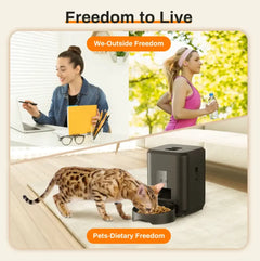 Automatic Pet Feeder EssentialsEveryday