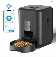 Automatic Pet Feeder EssentialsEveryday