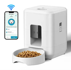 Automatic Pet Feeder EssentialsEveryday