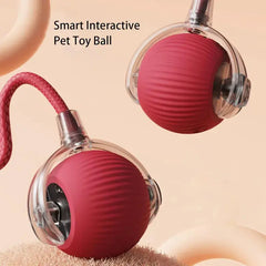 360 Smart Automatic Rolling Pet Ball EssentialsEveryday
