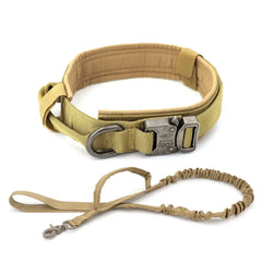 Dog Collar Wrights Holdings