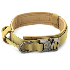 Dog Collar Wrights Holdings