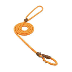 Nylon Pup Set EssentialsEveryday