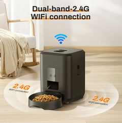 Automatic Pet Feeder EssentialsEveryday