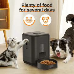 Automatic Pet Feeder EssentialsEveryday