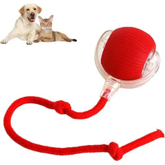 360 Smart Automatic Rolling Pet Ball EssentialsEveryday